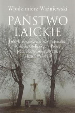 Książka Panstwo laickie Wlodzimierz Wazniewski