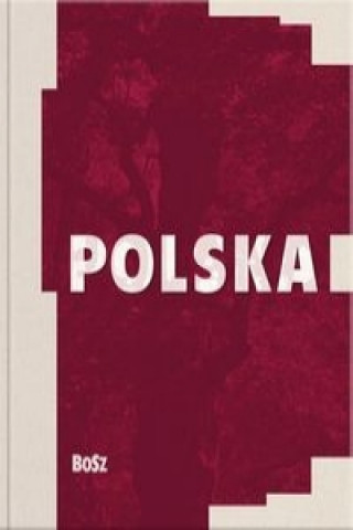 Kniha Polska Michal Kleiber