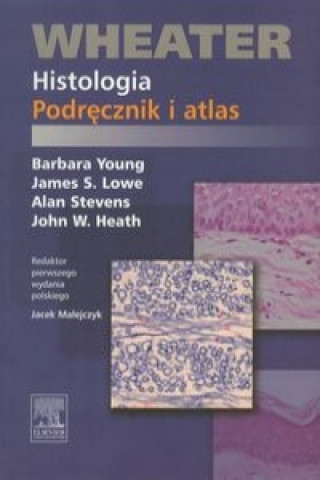 Book Wheater Histologia Podrecznik i atlas Alan Stevens