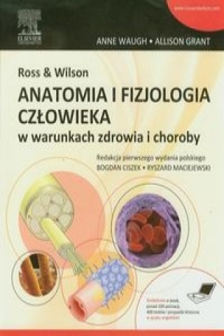 Kniha Ross & Wilson Anatomia i fizjologia czlowieka w warunkach zdrowia i choroby Anne Waugh