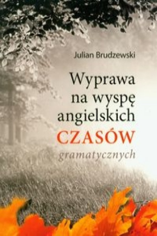 Kniha Wyprawa na wyspe angielskich czasow gramatycznych Julian Brudzewski