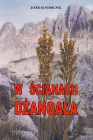 Kniha W scianach Dzangala Jacek Kantorczyk