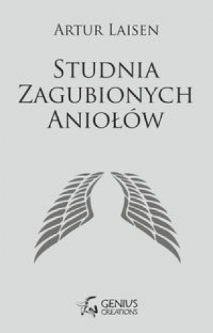 Książka Studnia Zagubionych Aniolow Artur Laisen