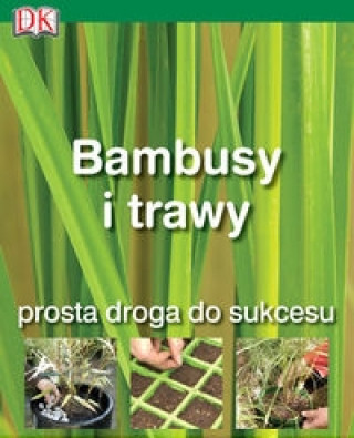 Kniha Bambusy i trawy Jon Ardle