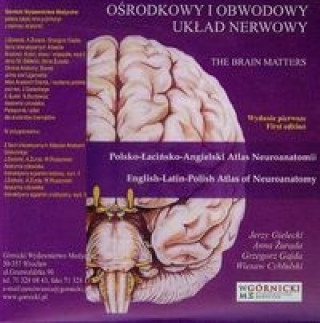 Audio Osrodkowy i obwodowy uklad nerwowy Jerzy Gielecki