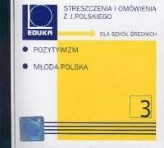 Könyv Streszczenia i omowienia z jezyka polskiego Pozytywizm i Mloda Polska 