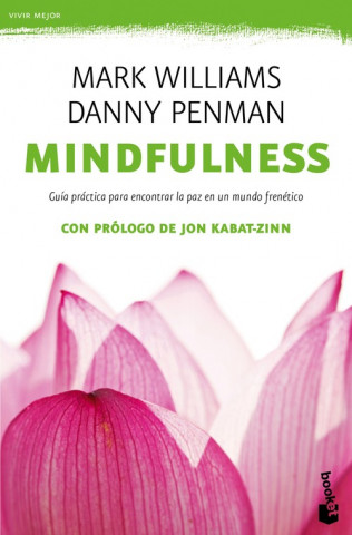 Kniha Mindfulness. Guía práctica DANNY PENMAN