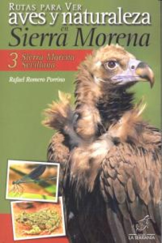 Książka Rutas para ver aves y naturaleza en Sierra Morena : Sierra Morena Sevillana 3 Rafael Romero Porrino