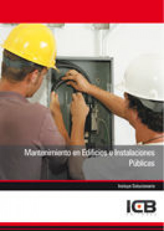 Buch Mantenimiento en edificios e instalaciones públicas 
