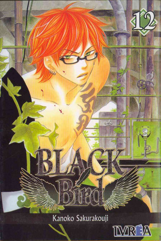 Boek BLACK BIRD 12 (COMIC) KANOKO SAKURAKOUJI