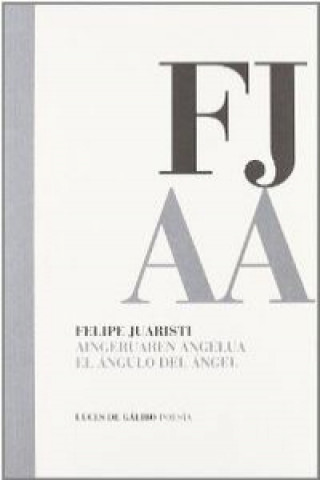 Kniha Aingeruaren angelua = El ángulo del ángel Felipe Juaristi