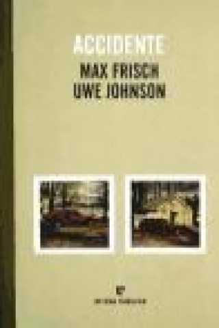 Livro Accidente Max Frisch