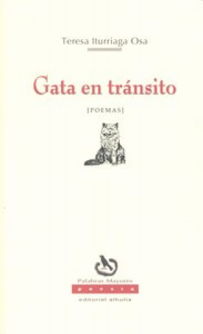 Könyv Gata en tránsito Teresa Iturriaga Osa