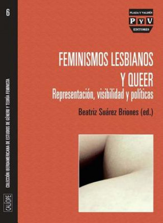 Könyv Feminismos lesbianos y queer : representación, visibilidad y políticas Beatriz Suarez Briones