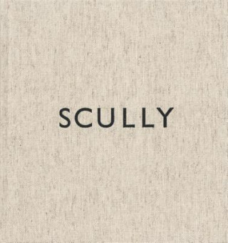Kniha Sean Scully: Artist's Sketchbook Sean Scully