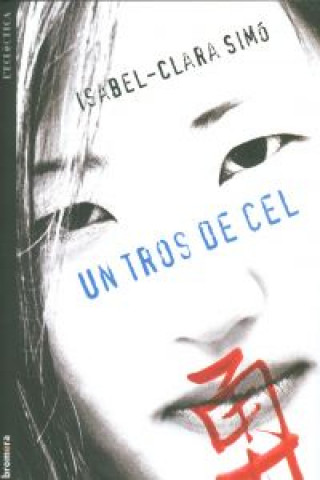 Boek Un tros de cel Isabel-Clara Simó
