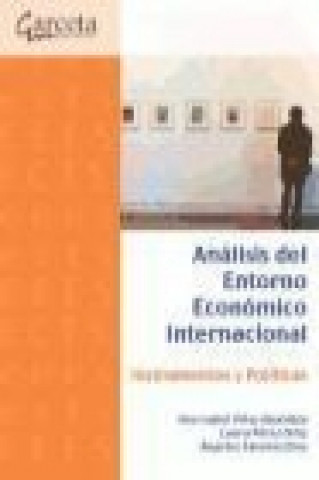 Buch Análisis del entorno económico internacional: instrumentos y políticas 