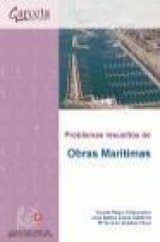 Buch Problemas Resueltos De Obras Maritimas 