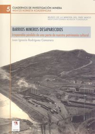 Βιβλίο Barrios mineros desaparecidos : irreparable pérdida de una parte de nuestro patrimonio cultural RODRIGUEZ CAMARERO