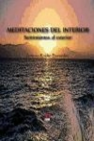 Könyv Meditaciones del interior : sentimientos al exterior Antonio Roldán Bermúdez