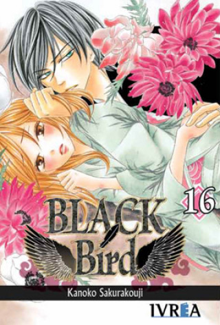 Kniha Black Bird 16 Kanoko Sakurakouji