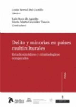 Buch Delito y minorías en países multiculturales : estudios jurídicos y criminológicos comparados Jesús Bernal del Castillo