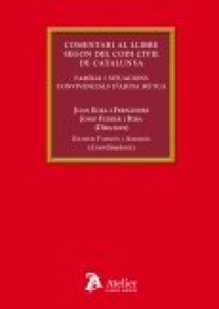 Книга Comentari al llibre segon del Codi Civil de Catalunya : família i relacions convivencials d'ajuda mútua Joan Egea Fernández