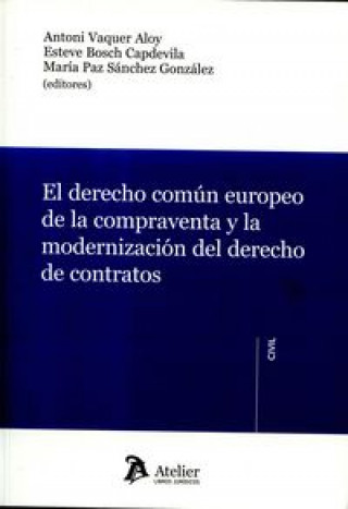 Könyv El Derecho común europeo de la compraventa y la modernización del derecho de contratos 