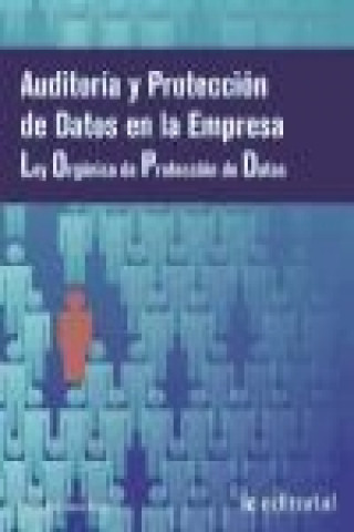 Kniha Auditoría y protección de datos en la empresa Encarnación Castillo Gómez