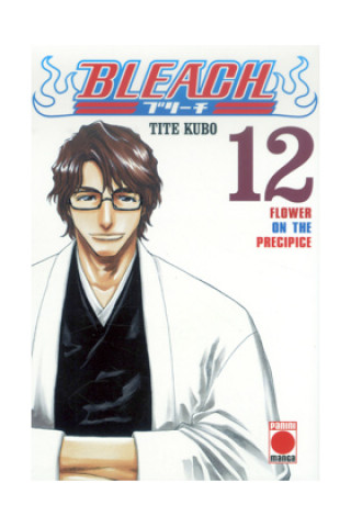 Kniha BLEACH 12 (COMIC) 