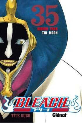 Kniha Bleach 35 