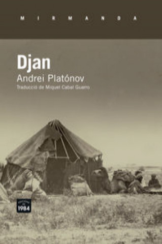 Knjiga Djan Platónov