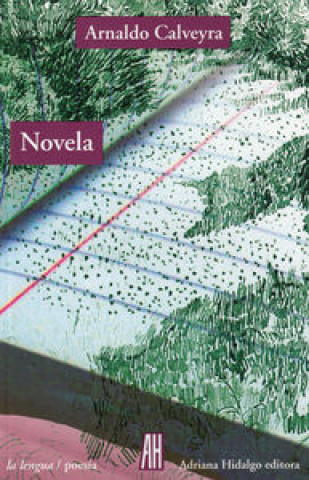 Book Novela Calveyra