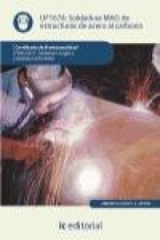 Könyv Soldadura MAG de estructuras de acero al carbono Francisco José Entrena González