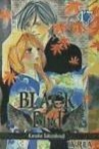 Könyv Black Bird 17 Kanoko Sakurakouji