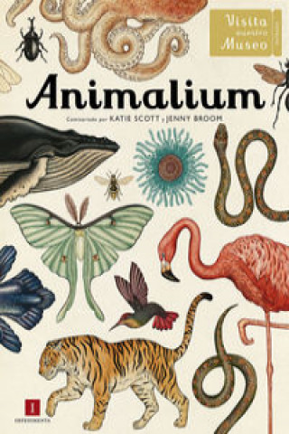 Carte Animalium JENNY BROOM