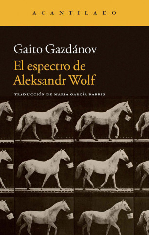 Boek El espectro de Aleksandr Wolf GAITO GAZDANOV