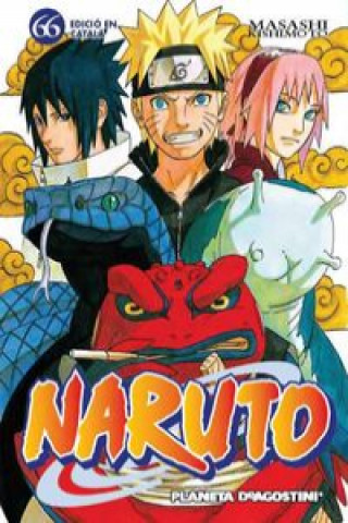 Book Naruto 66 Masashi Kishimoto