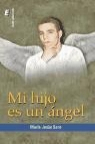 Kniha Mi hijo es un ángel María Jesús Sanz López