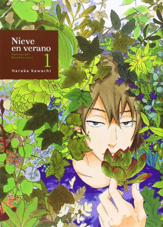 Könyv Nieve en verano 1, Natsuyuki rendezvous Haruka Kawachi