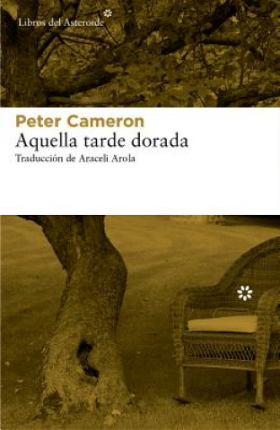 Buch Aquella Tarde Dorada Peter Cameron