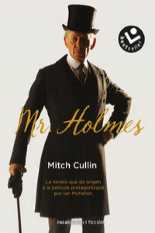 Libro Mr. Holmes MITCH CULLIN