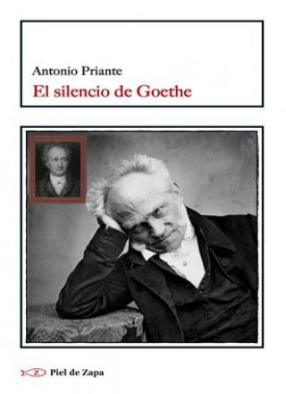 Kniha El silencio de Goethe 