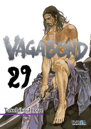 Książka Vagabond 29 