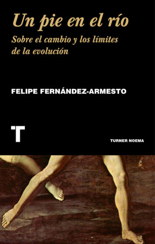 Könyv Un pie en el río FELIPE FERNANDEZ-ARMESTO
