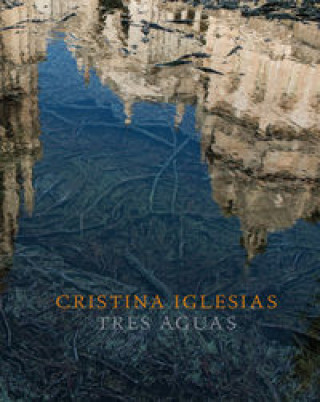 Könyv Cristina Iglesias: Tres aguas 