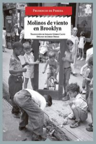 Kniha Molinos de viento en Brooklyn Prudencio De Pereda