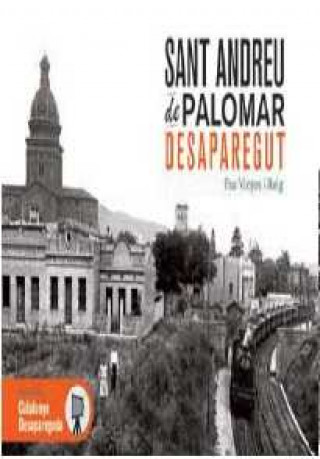 Könyv SANT ANDREU DE PALOMAR DESAPAREGUT PAU VINYES I ROIG