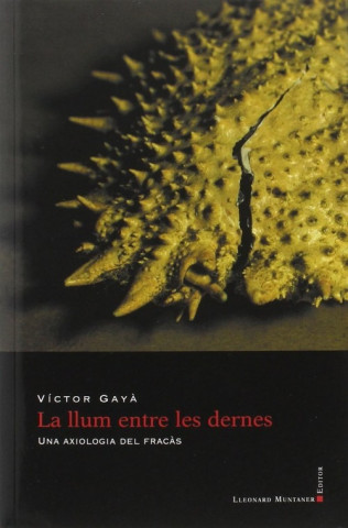 Buch LLUM ENTRE LES DERNES. UNA ANTOLOGIA DEL 