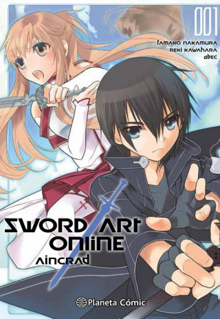Kniha Sword Art Online Aincrad 01 Reki Kawahara